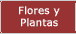 Plantas, Flores, Bonsais, Orquideas y productos de nuestras florerias