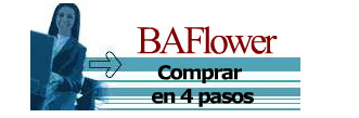 Florerias Baflower, compra facil