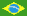 Flowers Brasil Brazil