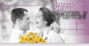 Flores y Plantas